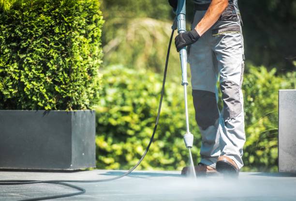 Best Gutter Cleaning  in Mayville, NY